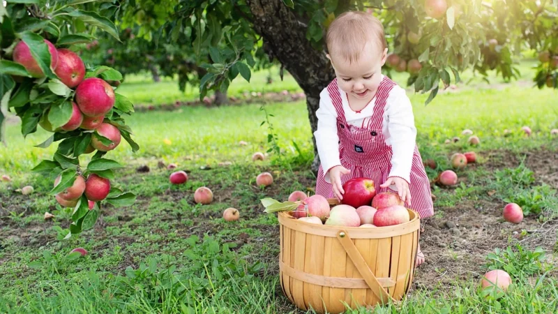 Barbie Słodka Farma Farmerka z Wiaderkiem GJB60