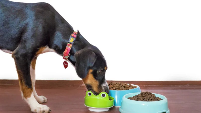 Brit Care Puppy All Breed Lamb&Rice 12Kg