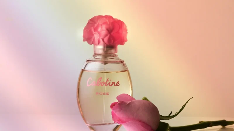 Calvin Klein Euphoria Woman Woda Perfumowana 100ml