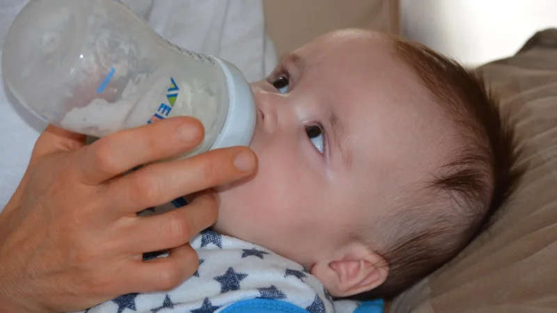 CANPOL BABIES ŚLINIAK ZMYWALNY Z KIESZENIĄ JUNGLE (9/238_COR)