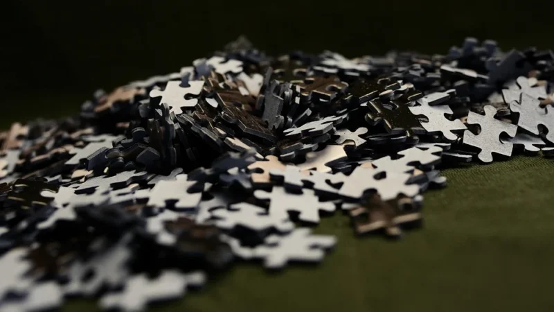 Cenega Puzzle Imagination Edward Dwurnik Radzymin 1000El.