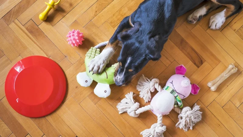 Cobi Palace Pets Modne Ogonki Piesek Belle 10809B