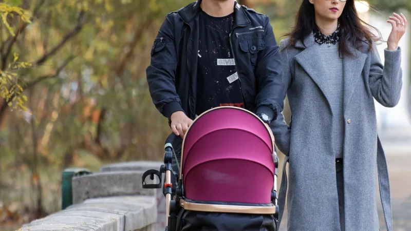 Cybex Priam 4.0 Wings By Jeremy Scott Spacerowy