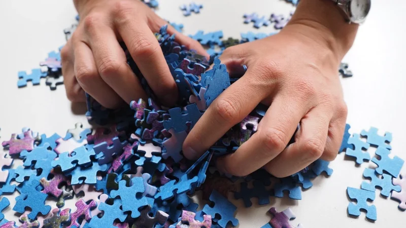 Dino Puzzle 24 Auta 2 Zygzak