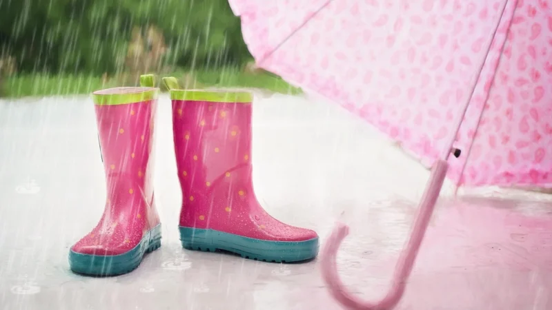 Długi Parasol Przezroczystyw Kropki, Lady Kod: Ubul1222