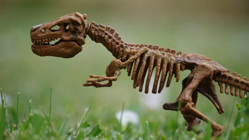 Eurobaby Zabawki Zabawka Zestaw Dinozaurów (Ebzsy9406)