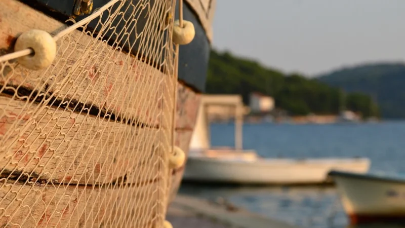 Fisher-Price Gryzaczek Kaktus GJD38
