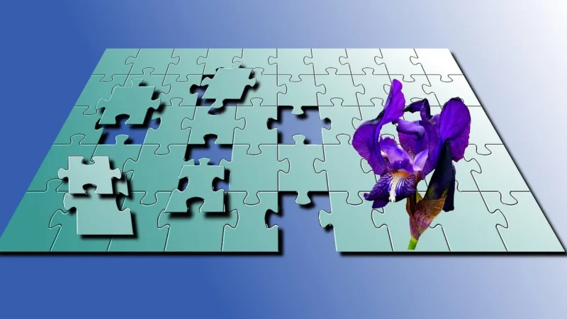 Galison Puzzle 1000El. Joyful
