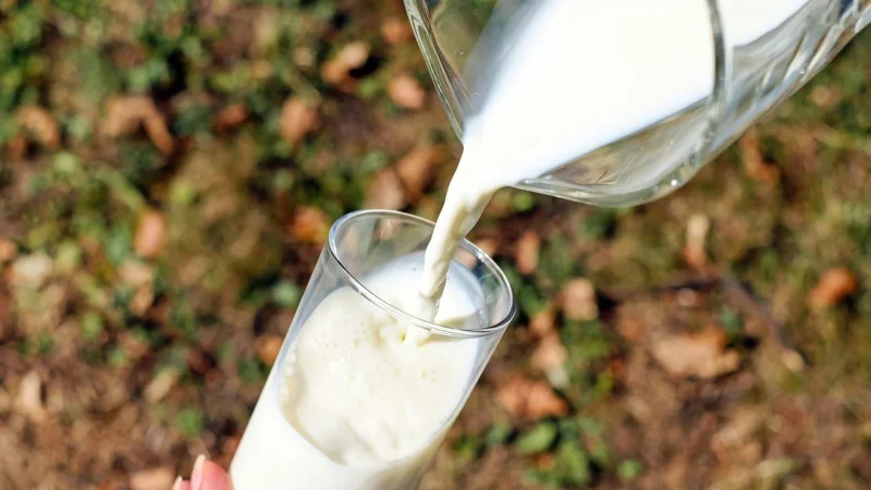 HiPP Comfort mleko dla niemowląt od urodzenia 600g