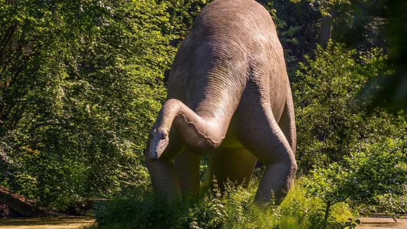 Jurassic World Jit Zu Elastyczny 2 Części Figurki Superbohaterów