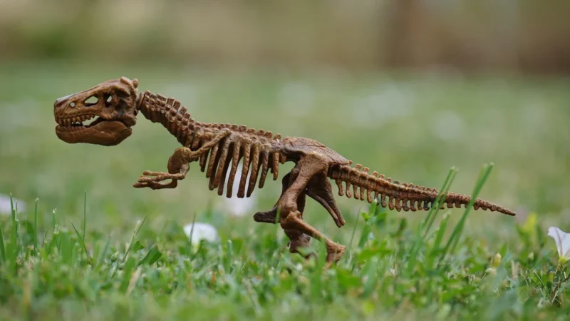 Madej Dinozaur Do Skręcania Z Wiertarką