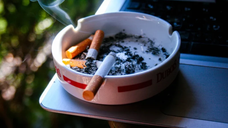 Mamas&Papas Krzesełko Z Tacką Edukacyjną 3W1 Baby Bug Mamas&Amp Papas Eucaliptus