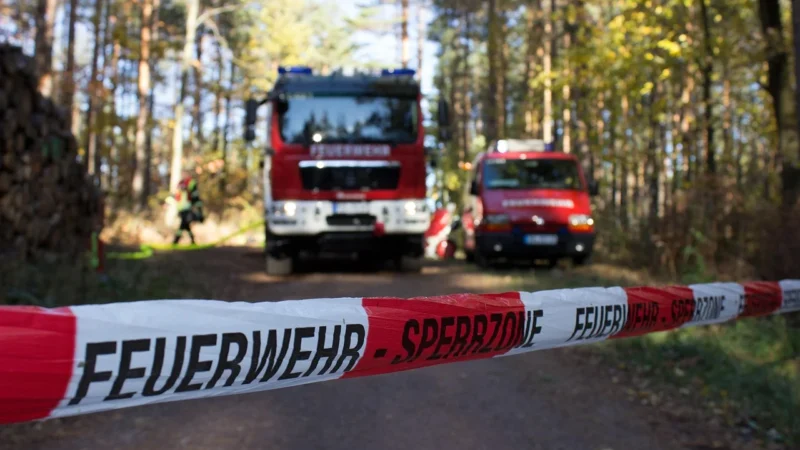 Mega Bloks Psi Patrol Wóz Strażacki Marshalla Zestaw GYJ01
