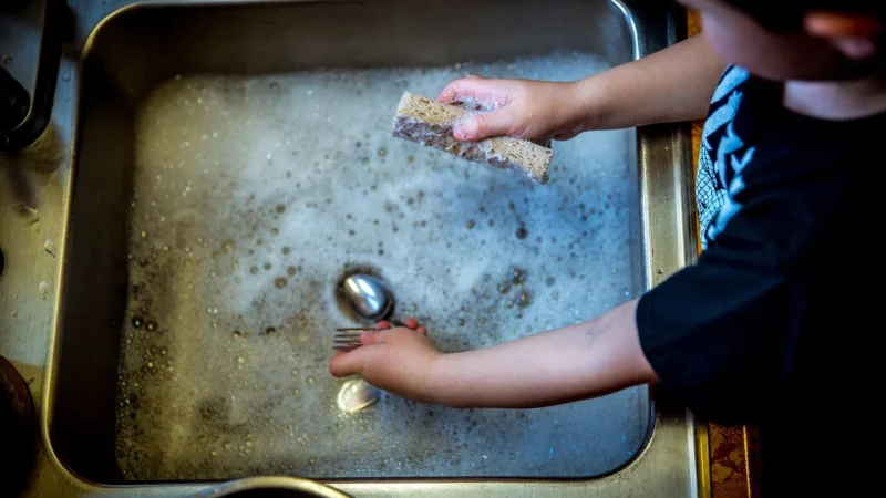 Meowbaby Kitchen Helper Pomocnik Kuchenny Dla Dziecka Naturalny