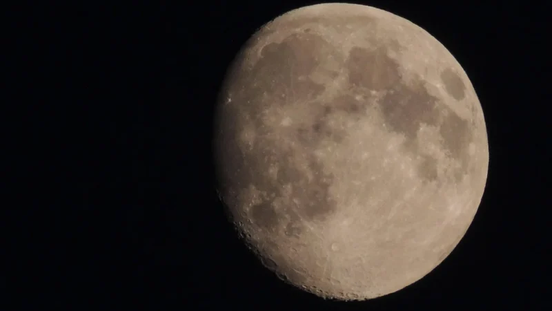 Muuvo Roox Night Black Spacerowy