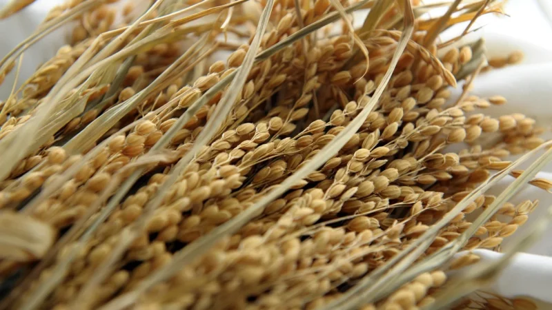 Nominal Kaszka Ryżowa Bezglutenowa 300G