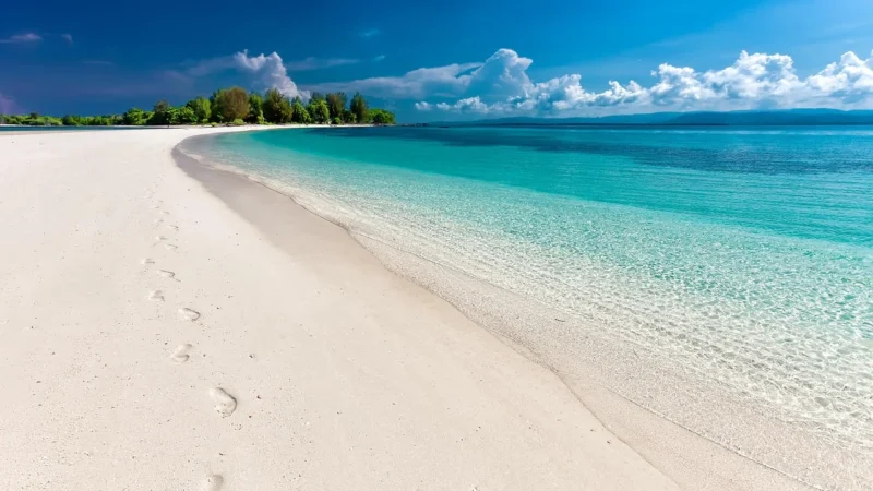 Nova Puzzle 1000El. Tropical Island Beach Plaża Na Tropikalnej Wyspie