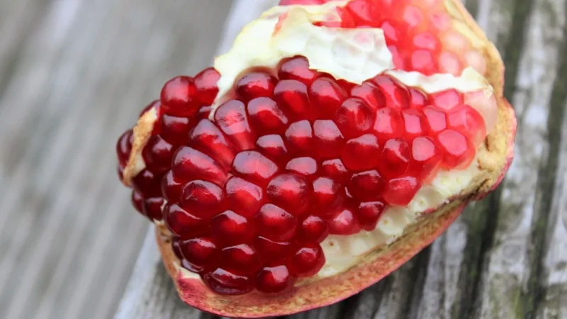 Pomegranate Puzzle 1000El. Las Z Dwiema Postaciami W Tle