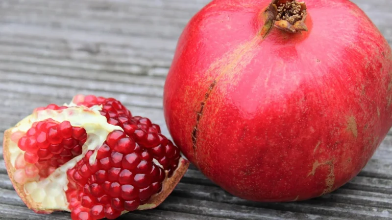 Pomegranate Puzzle 1000El. Mylopronesta Rex Ray