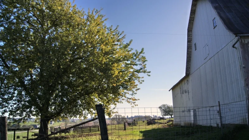 Ranch Simulator (Digital)