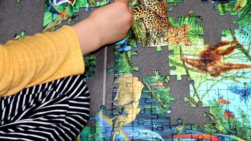 Sunsout Puzzle 1000El. Blue Dress