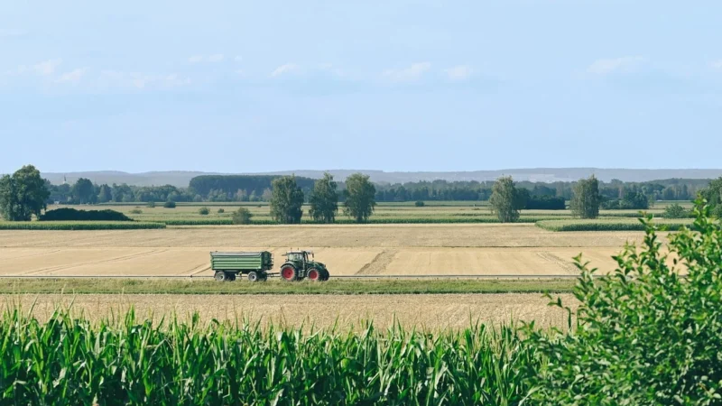 Super-Toys Mocny Traktor Z Łyżką Kingdom 12V Dwie Prędkości/Js328A