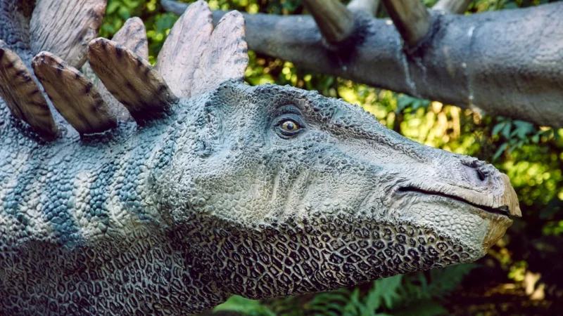 Zuru Przegubowa Figura Stegosaurus Wyrzutnia (37 X 23 X 11 Cm)